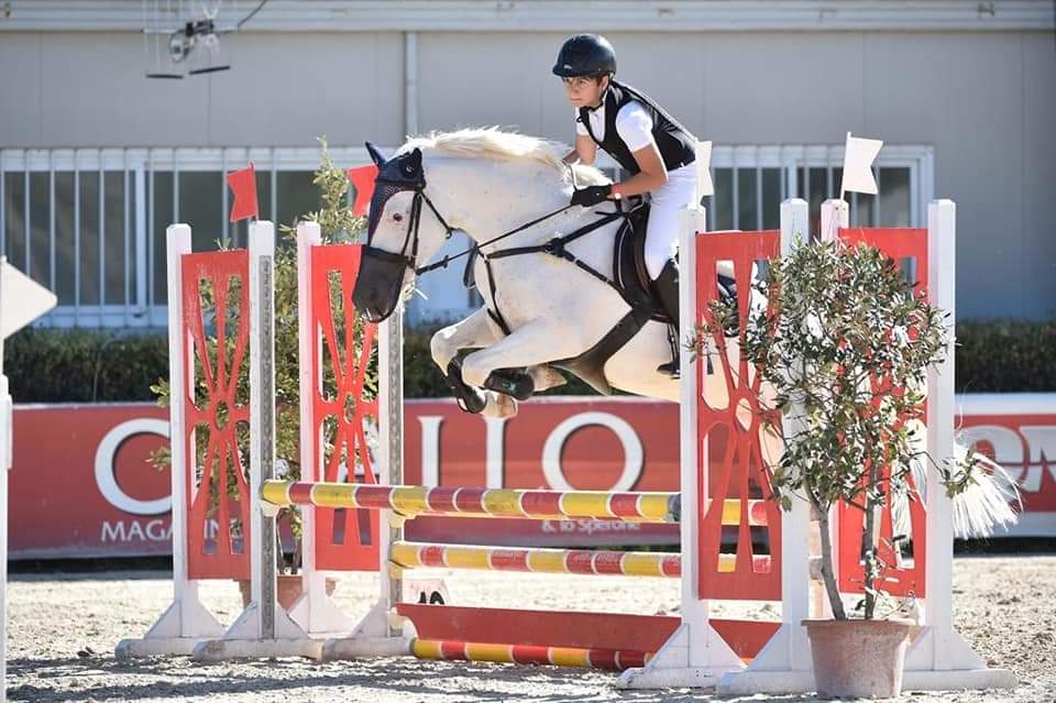 competizione cavalli terni