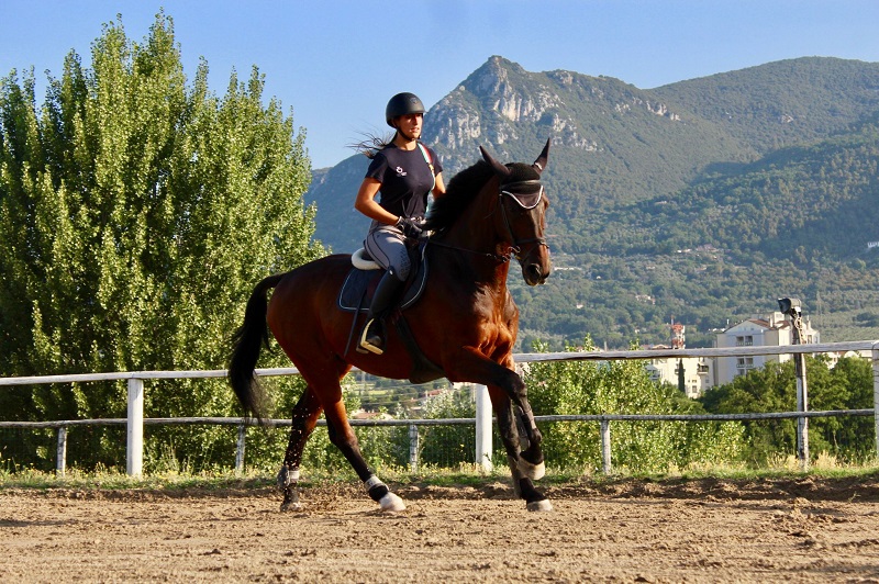 equitazione terni
